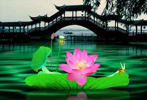 杭州西湖十景
