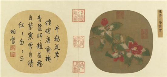 林椿《山茶霁雪》