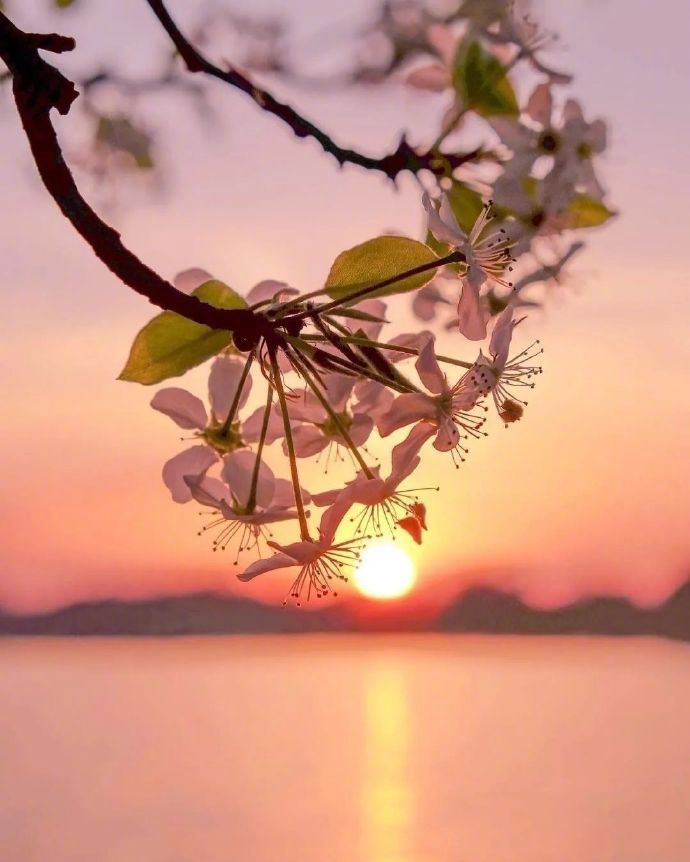 《夕阳里的顾城》孙越强